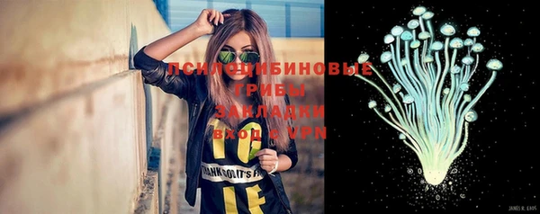 тгк Арсеньев