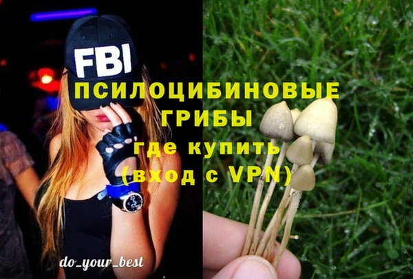 мяу мяу мука Аркадак