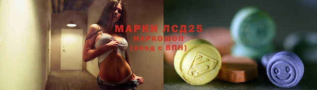 мяу мяу мука Аркадак