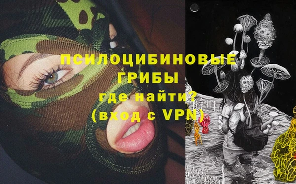тгк Арсеньев