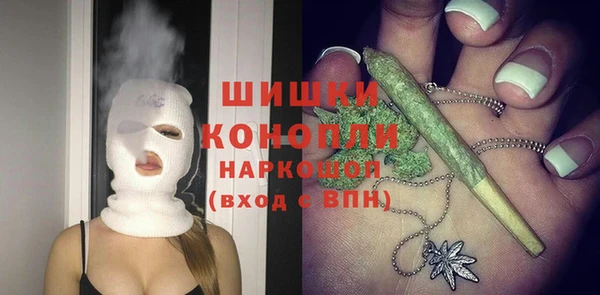 тгк Арсеньев