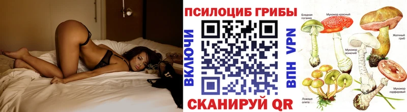 Галлюциногенные грибы Cubensis omg зеркало Ахтубинск